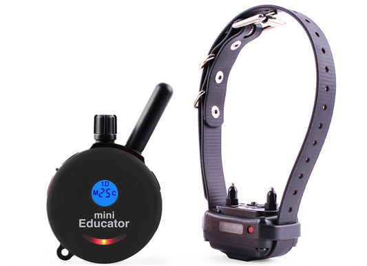 ET-300 One Dog Mini Educator E-Collar 1/2 Mile Remote Dog Trainer (E-Collar Technologies)